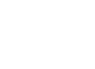 Arabian Auction